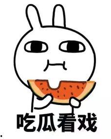 娱乐吃瓜酱心动心安,心动与心安的甜蜜碰撞